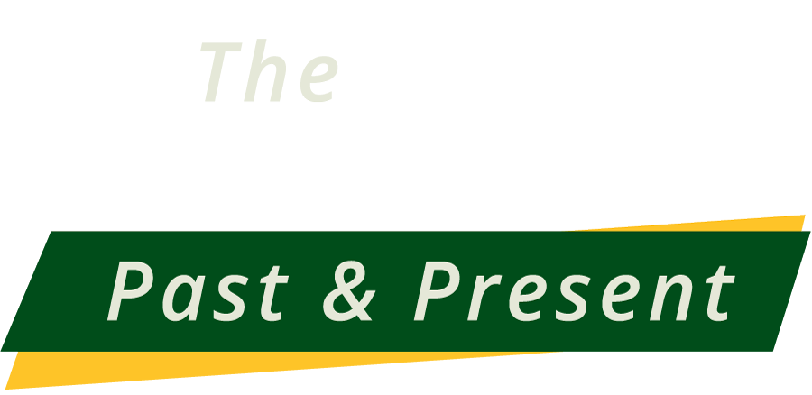 The Mason Experience: Past and Present Logo